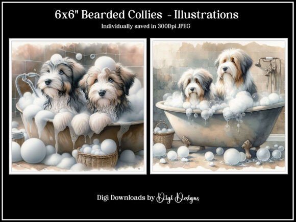 Bearded Collies Illustrations: Versatile Design Assets