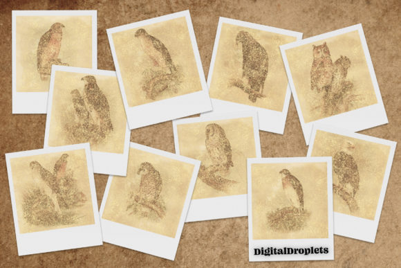 Enchanting Vintage Design with Gilded Castles and Birds Vol. 1